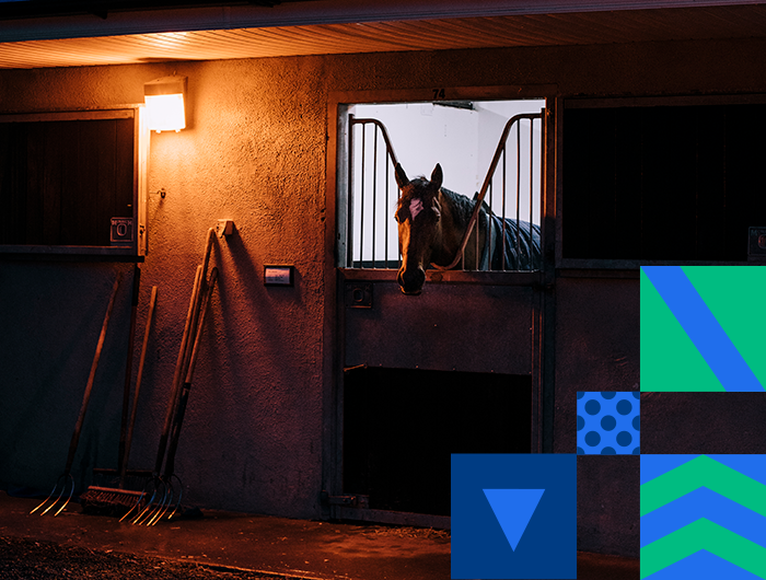 equuip-mental-health