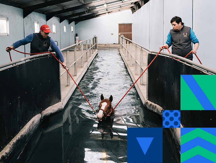 Parents Equuip.ie Horse Racing Ireland